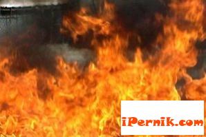 Обгазените деца от Радомир ще бъдат настанени в Дрен 10_1414142024