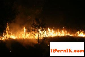 Междусъседски спор завърши с изгоряла ферма 11_1415953414