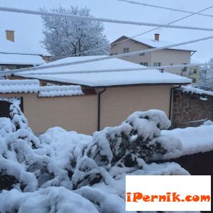 Чакат ни снегове чак до Първа пролет 03_1425652748