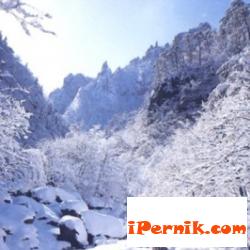 Осигурен е достъп до село Ерул, община Трън 03_1426054597