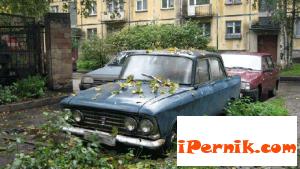Забраниха паркирането на товарните автомобили и автобуси на улици, тротоари и алеи 03_1426057387