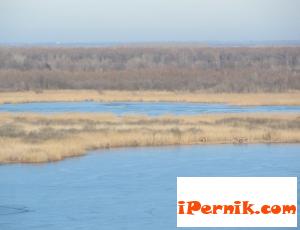 Птичи грип е уморил пеликаните в Сребърна 03_1427803505