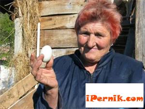 Забраняват продажбата на домашни яйца 04_1428325221