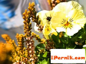Днес вече ще има слънце 04_1428651356