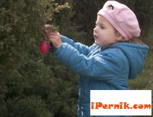 Днес ни чака слънце 04_1428730352