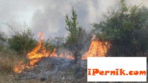 Потушиха пожарът на границата ни с Македония 04_1429369323