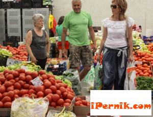 Първите български домати ще се продават на едро по 3 лв. за килограм 04_1429535084