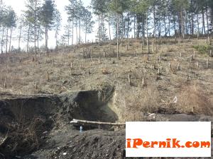 Природозащитна акция в Перник 04_1429694276