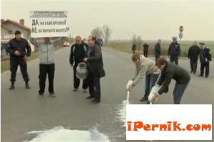 Изкупуват продукцията на млекопроизводителите за стотинки 05_1430573392