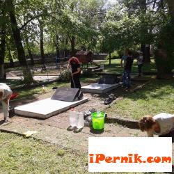 Почистиха паметници в Радомир 05_1431152864