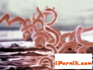 Нарастват болните от венерически болести по морето 05_1431610129