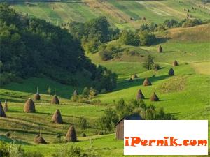 Земеделието на Румъния е по-производително от българското 05_1432198400