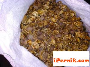 Измамиха мъж с 650 лв. за орехови черупки 05_1432725464