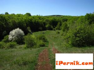 Ще почистват резерват "Острица" 06_1433512495