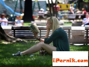 Слънце сутринта, облаци след обяд 06_1433570795