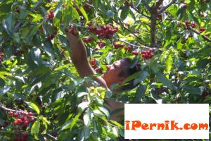Селата искат видеонаблюдение 06_1433842374