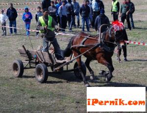 Социалното министерство дава над 1 млн. лв. за реклама 06_1434355832