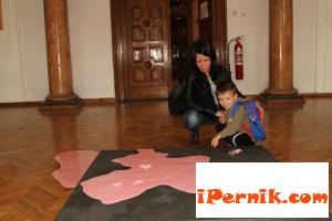 Изложиха розови жаби в галерия "Кракра" 06_1434698782