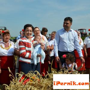Очакваме добра реколта на пшеница 06_1434809152
