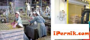 Продават фабриката "Сторко" в Плевен 06_1434974984
