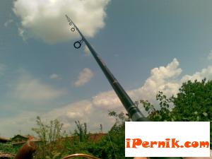 Риболовец от Перник занесе без да иска змия у дома си 06_1435049730