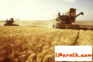 Пожарите възникват заради неспазване на забрани 06_1435504090