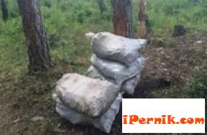 Роми превозват незаконно изкопани въглища рано сутрин 08_1438772239