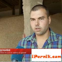 Добивът на пшеница в Трънско е рекорден 08_1439706681