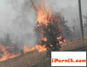 В област Перник има оранжев код за опасност от пожари 08_1439719163
