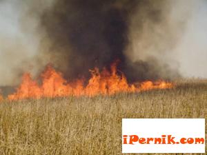 Ще глобяват за паленето на стърнища и сухи треви 09_1441342045