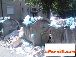 Ще глобяват фирмата за боклука в Перник 09_1441355495