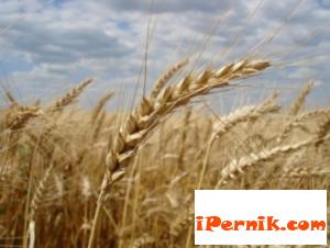 НССЗ ще проведе над 420 изнесени приемни до края на годината 09_1442216635