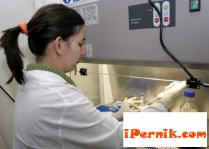 Не искат да ни вземат проби за грип 11_1446638634
