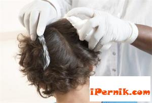 Измислиха гребен, който премахва въшки 11_1446796706