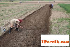 Не искат да се въвежда "данък градина" 11_1447768989