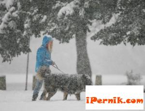 Няма да има сняг до средата на декември 11_1448871975