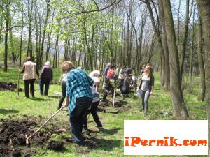 „Съседите на Рекоул” в Перник получи грамота  11_1448900968