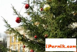 Каква ще е програмата на община Перник за декември 12_1448953300