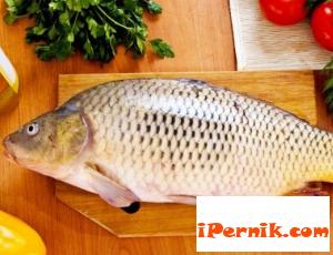 Въдичари раздават книги вместо шарани 12_1449071161
