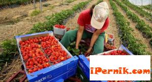 Търсят жени за работа в Португалия и Испания 12_1449213456