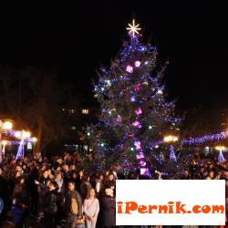 В Радомир запалват Коледната елха на 10 декември 12_1449503241