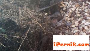 Влак за малко не изпрати пътуващи в дерето 12_1450161413