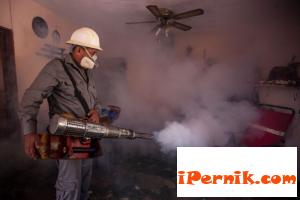Вирусът Зика в Америка се превръща в епидемия 01_1454137157