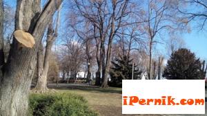 Пенсионерка хванала телефонен измамник 02_1454914523