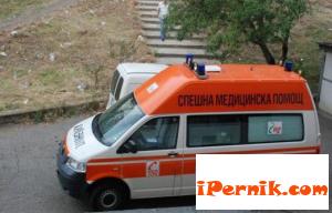 Жена, болна от склероза, изяде кактусите в дома си 02_1454915573