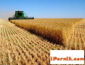 Увеличават се отглежданите зърнени култури у нас 02_1455868890