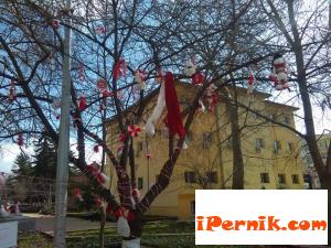 Общинският младежки дом поздрави всички перничани за 1 март 03_1456901008