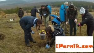 Предоставиха фиданки за залесяване 03_1459409485