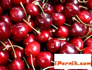 Търговски вериги ще изкупуват черешите в Кюстендилско 04_1459835256