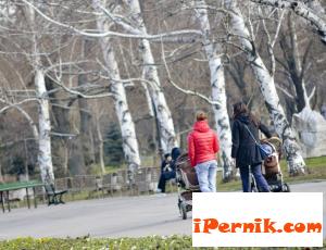 Две двойки близнаци се родиха в Перник 04_1460272507